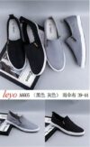 Levo Shoe