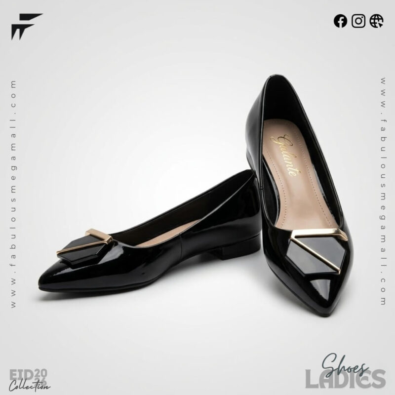 Elegant Ladies Shoes