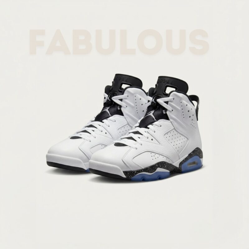Jordan 6 Retro