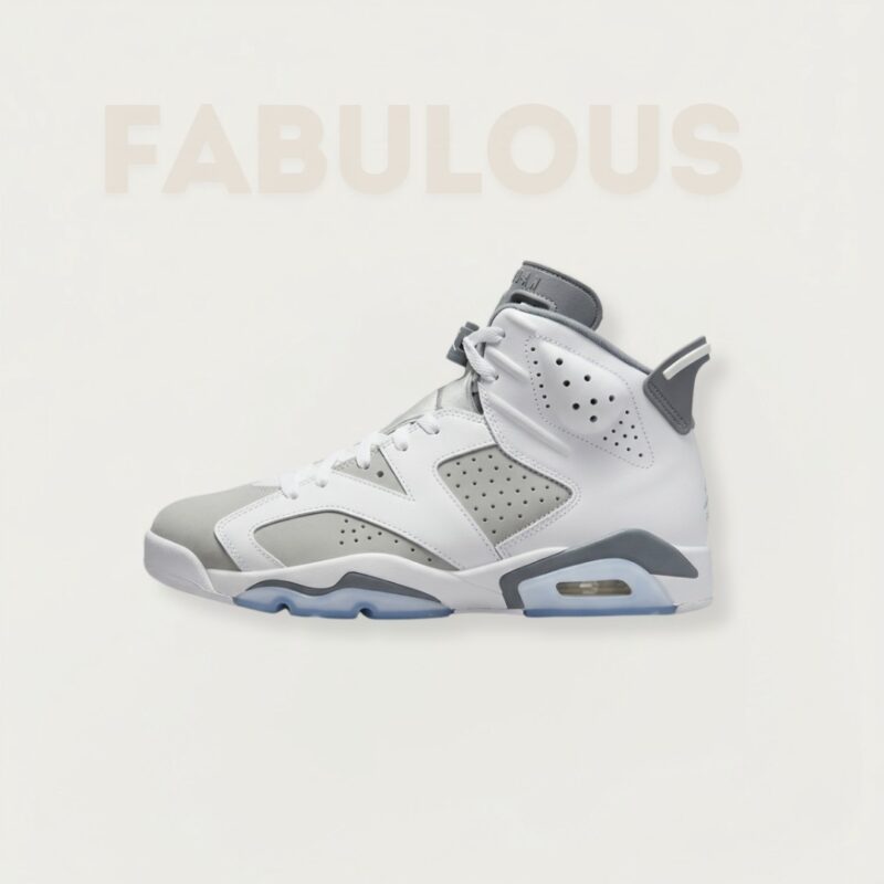 Jordan 6 Retro